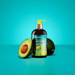 Avocado & Tamanu Anti-Frizz Shampoo